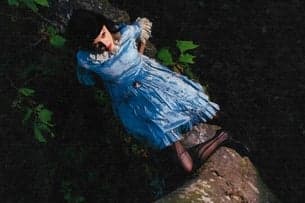 Not For Radio - A Summer In The Forest: North America Tour