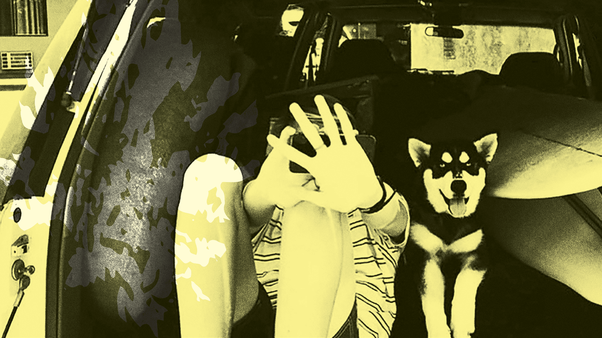 Throwing Muses, King Sheim