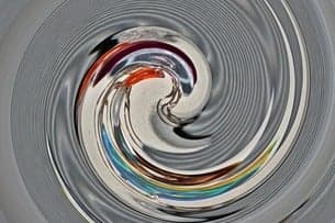 Bonkonomics (21+ Event)